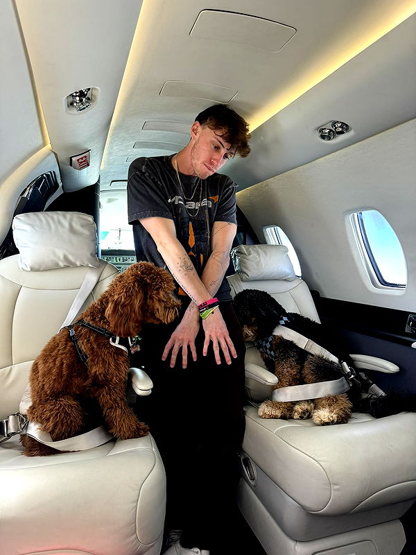 camilla_classy image ~ Altpins