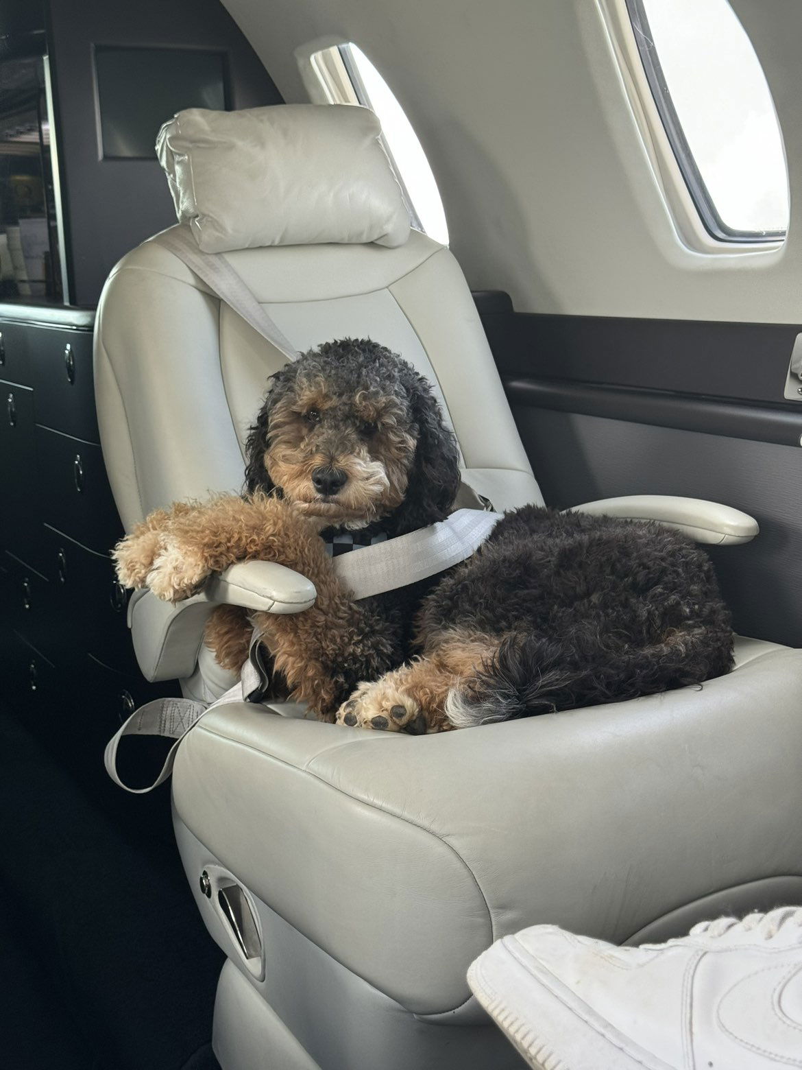 camilla_classy snapchat image archive image