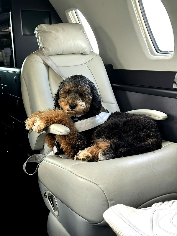 camilla_classy image ~ Altpins