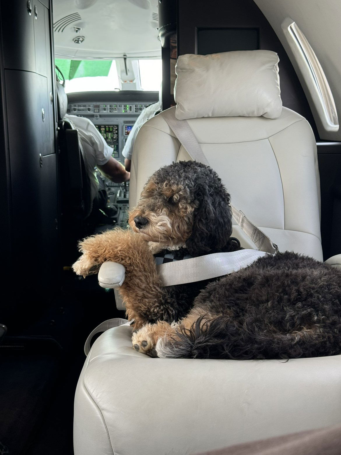 camilla_classy snapchat image archive image