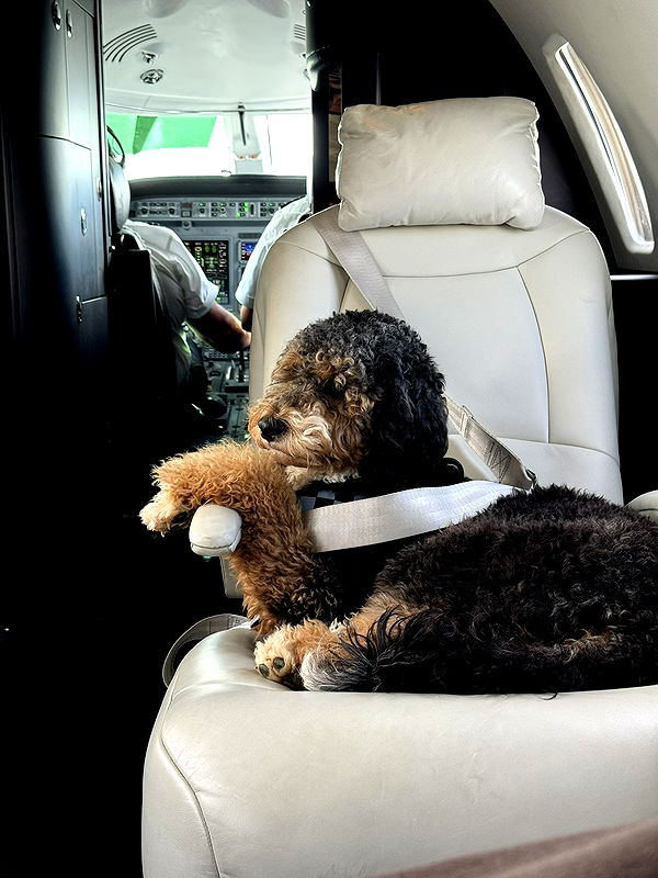 camilla_classy image ~ Altpins