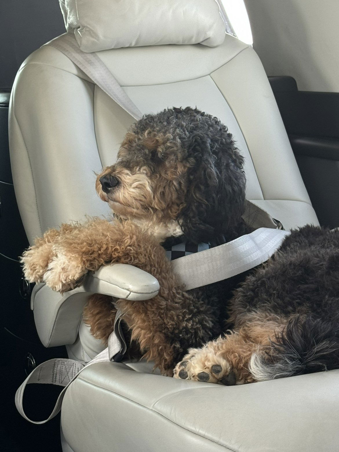 camilla_classy snapchat image archive image