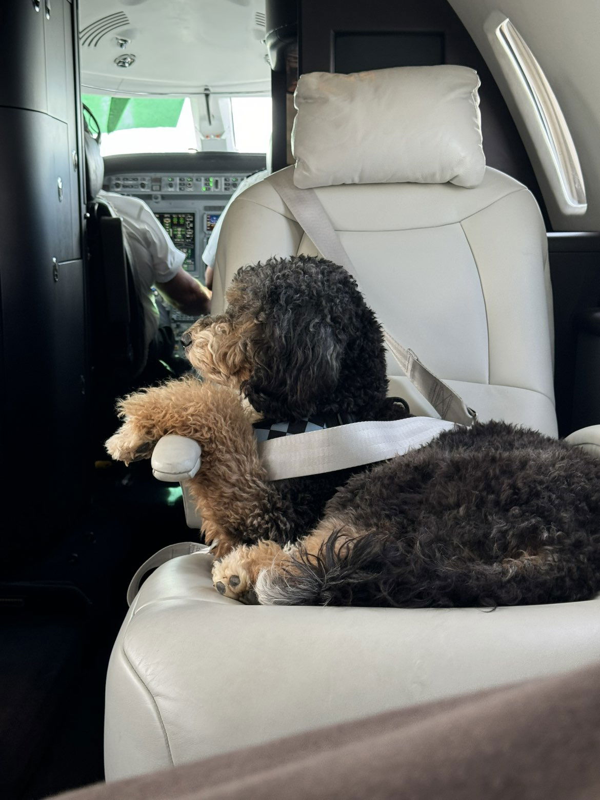 camilla_classy snapchat image archive image