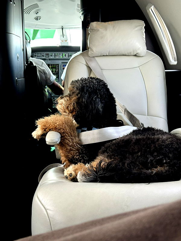 camilla_classy image ~ Altpins