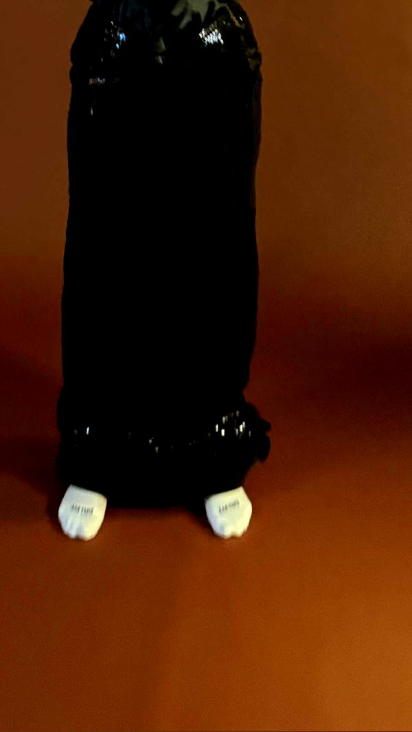 camilla_classy image ~ Altpins