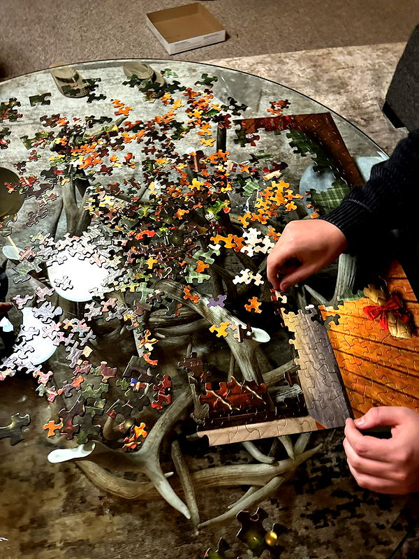 camilla_classy image ~ Altpins