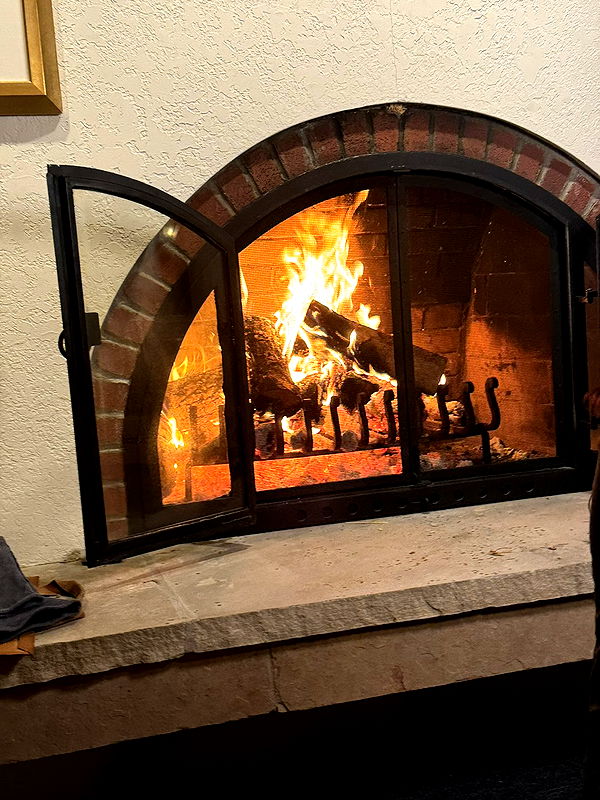 camilla_classy image ~ Altpins