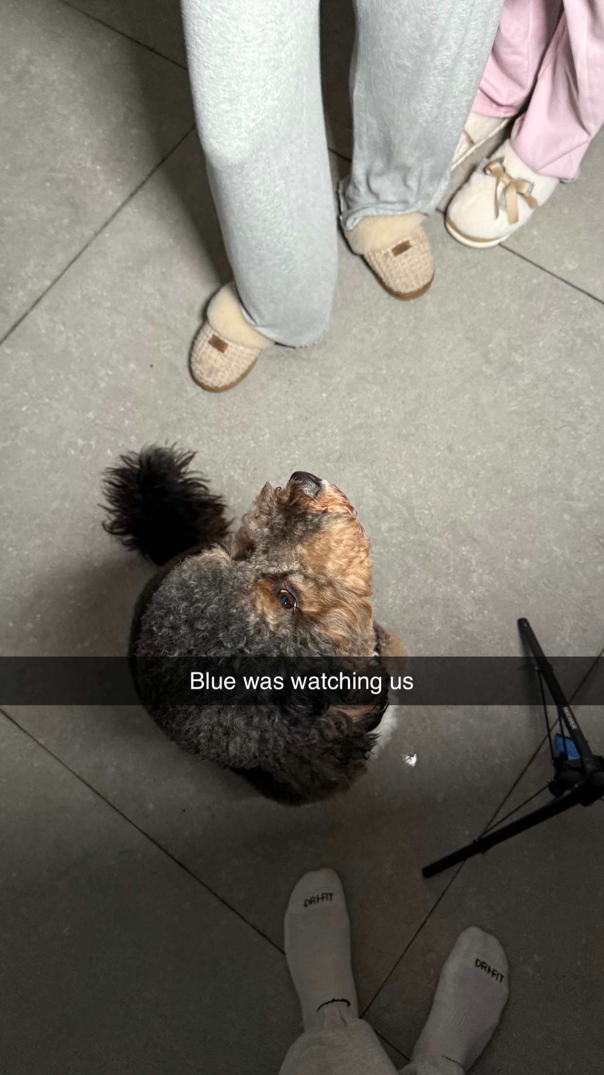 camilla_classy snapchat image archive image