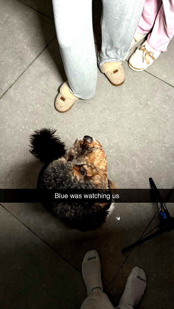 camilla_classy image ~ Altpins