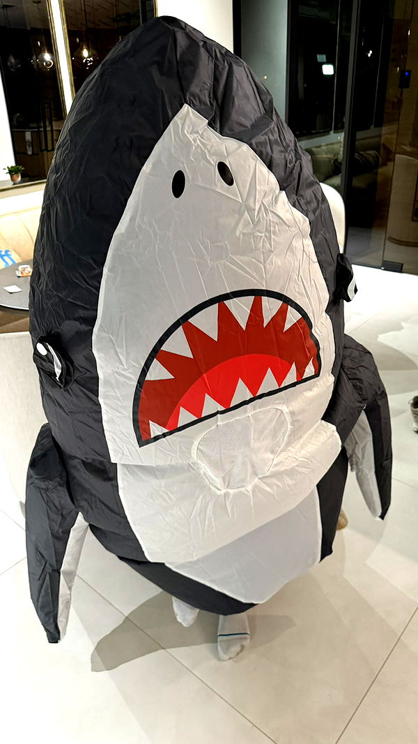 camilla_classy image ~ Altpins