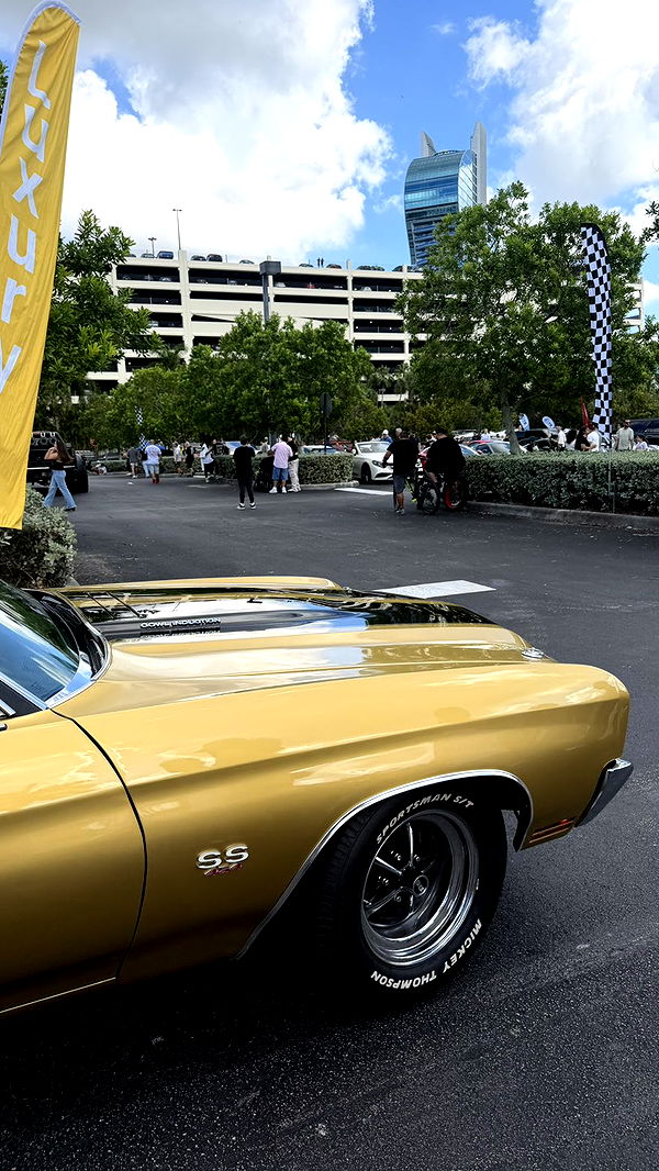 camilla_classy image ~ Altpins