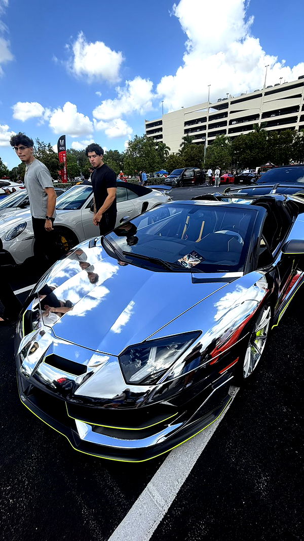 camilla_classy image ~ Altpins