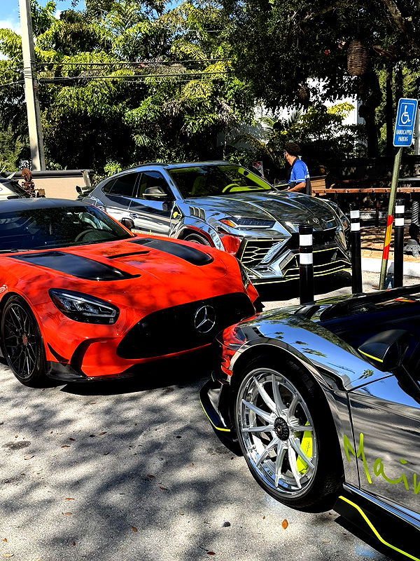 camilla_classy image ~ Altpins