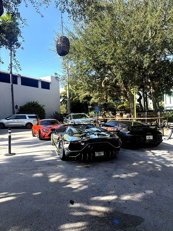 camilla_classy image ~ Altpins