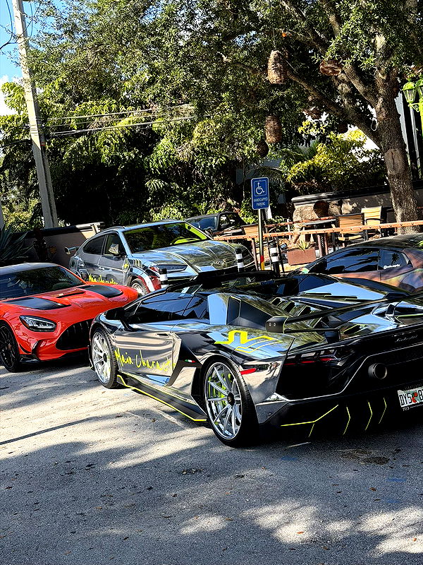 camilla_classy image ~ Altpins