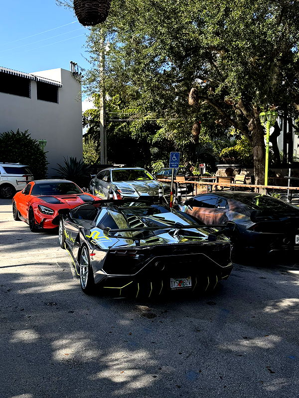 camilla_classy image ~ Altpins