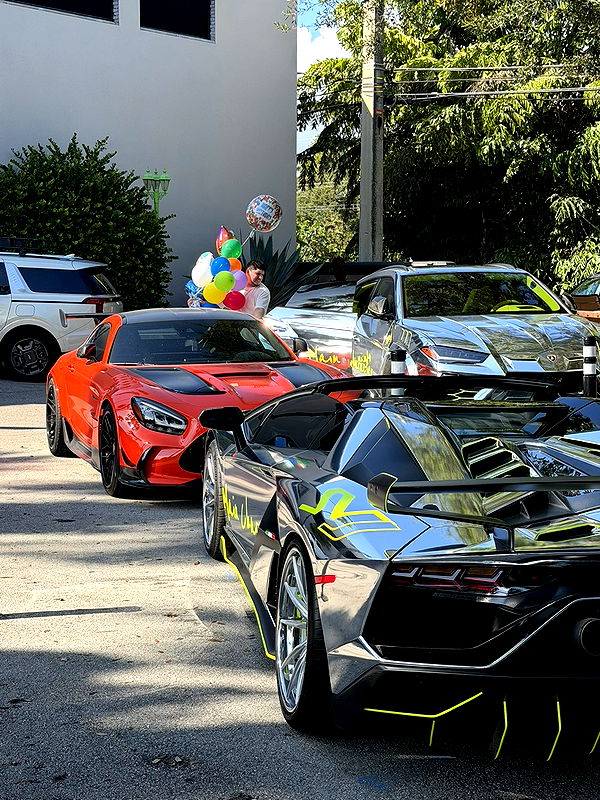 camilla_classy image ~ Altpins