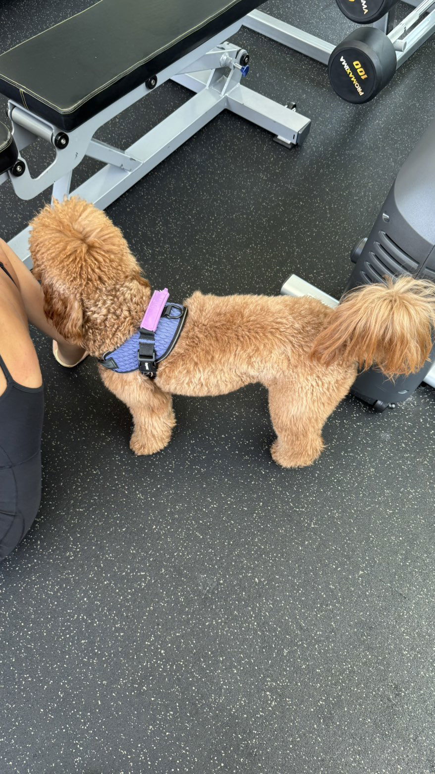 camilla_classy snapchat image archive image