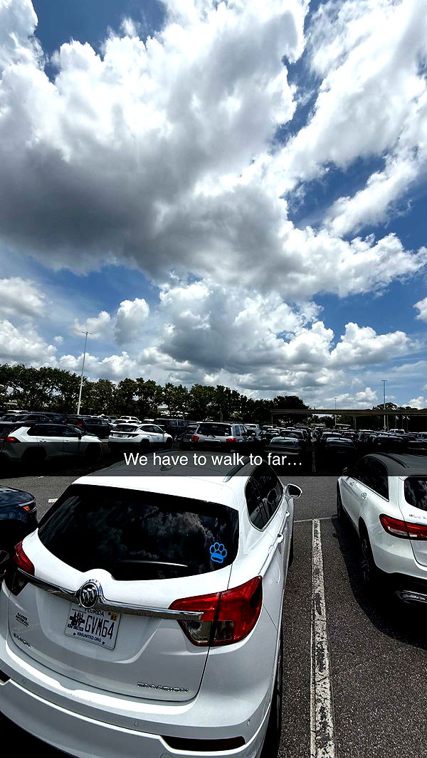 camilla_classy image ~ Altpins