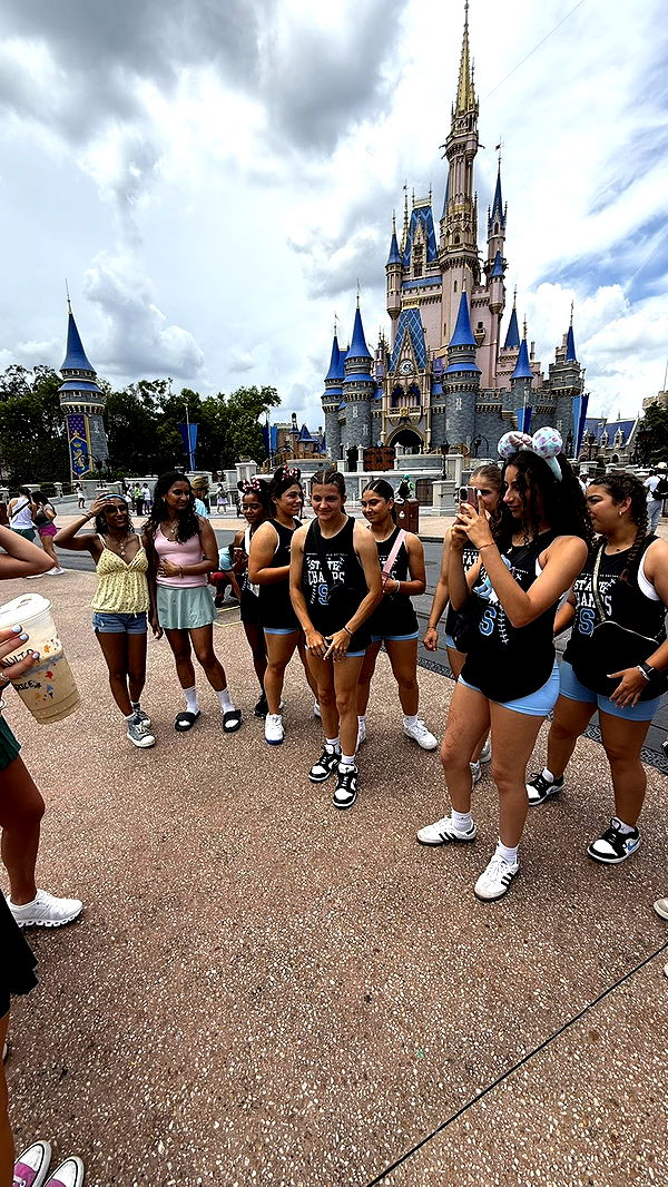 camilla_classy image ~ Altpins