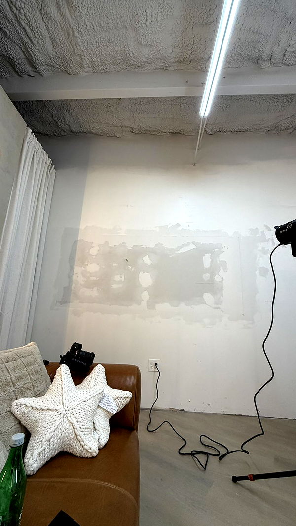 camilla_classy image ~ Altpins