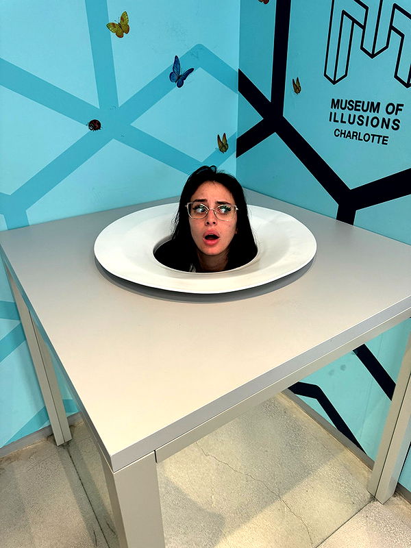 camilla_classy image ~ Altpins