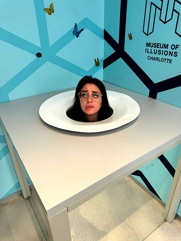 camilla_classy image ~ Altpins