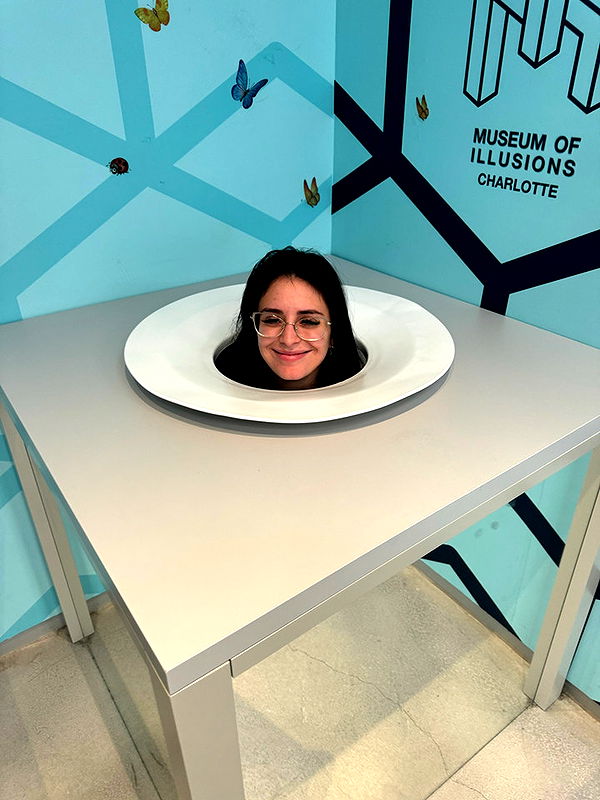 camilla_classy image ~ Altpins