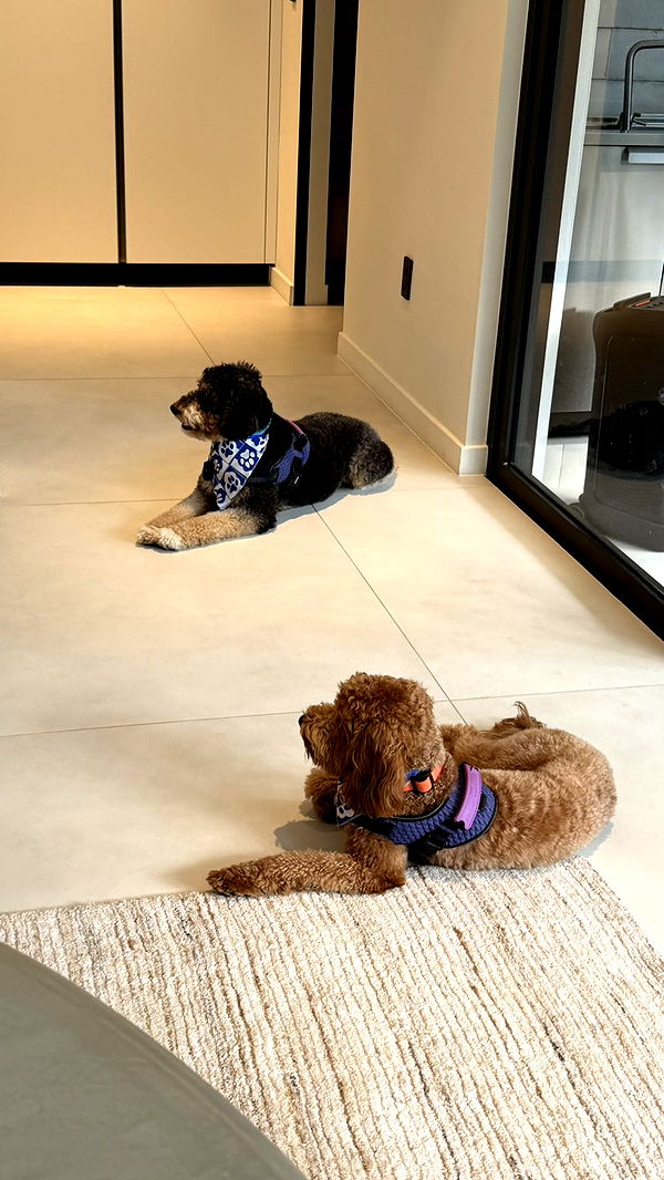 camilla_classy image ~ Altpins