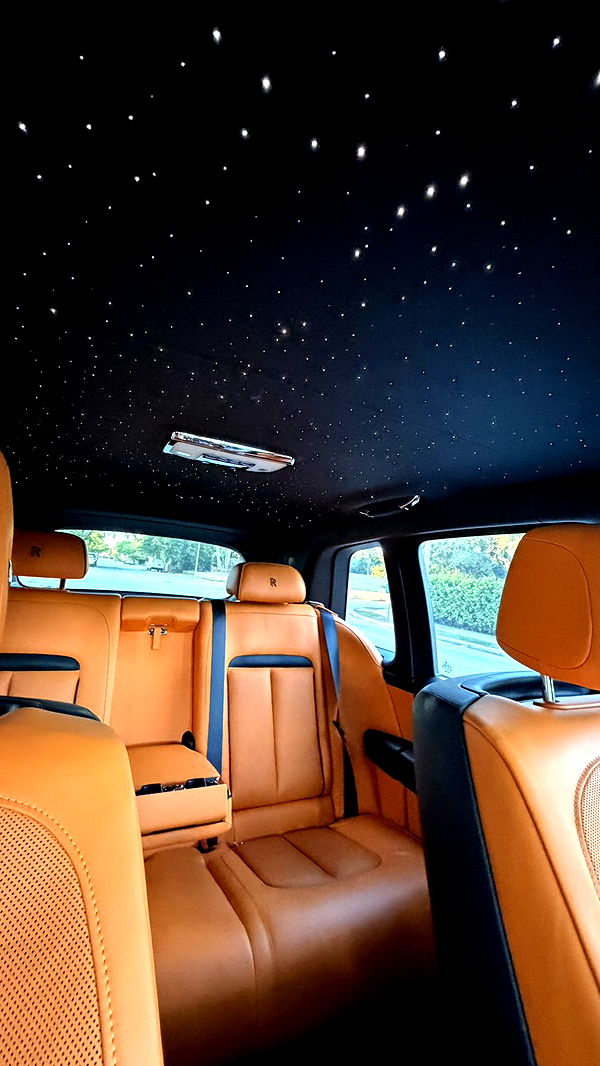 camilla_classy image ~ Altpins