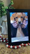 carlyhartxx Altpins Profile Picture