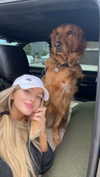 carlyhartxx Altpins Profile Picture