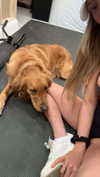 carlyhartxx Altpins Profile Picture