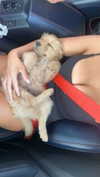 carlyhartxx Altpins Profile Picture