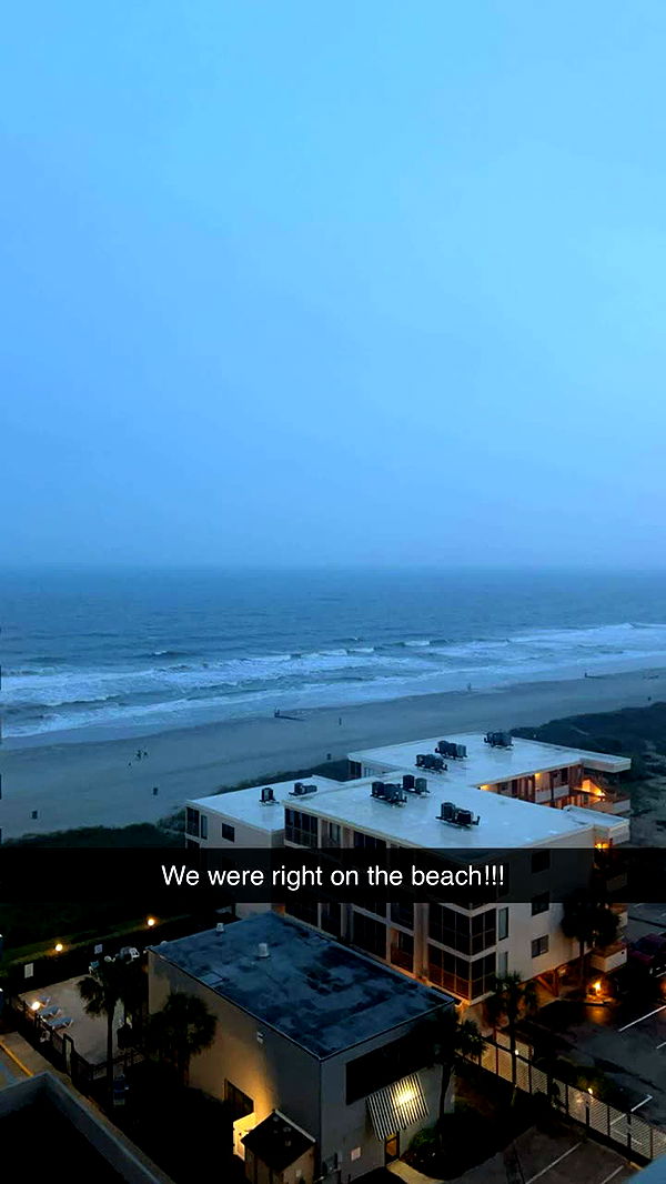 carmmieecat image ~ Altpins