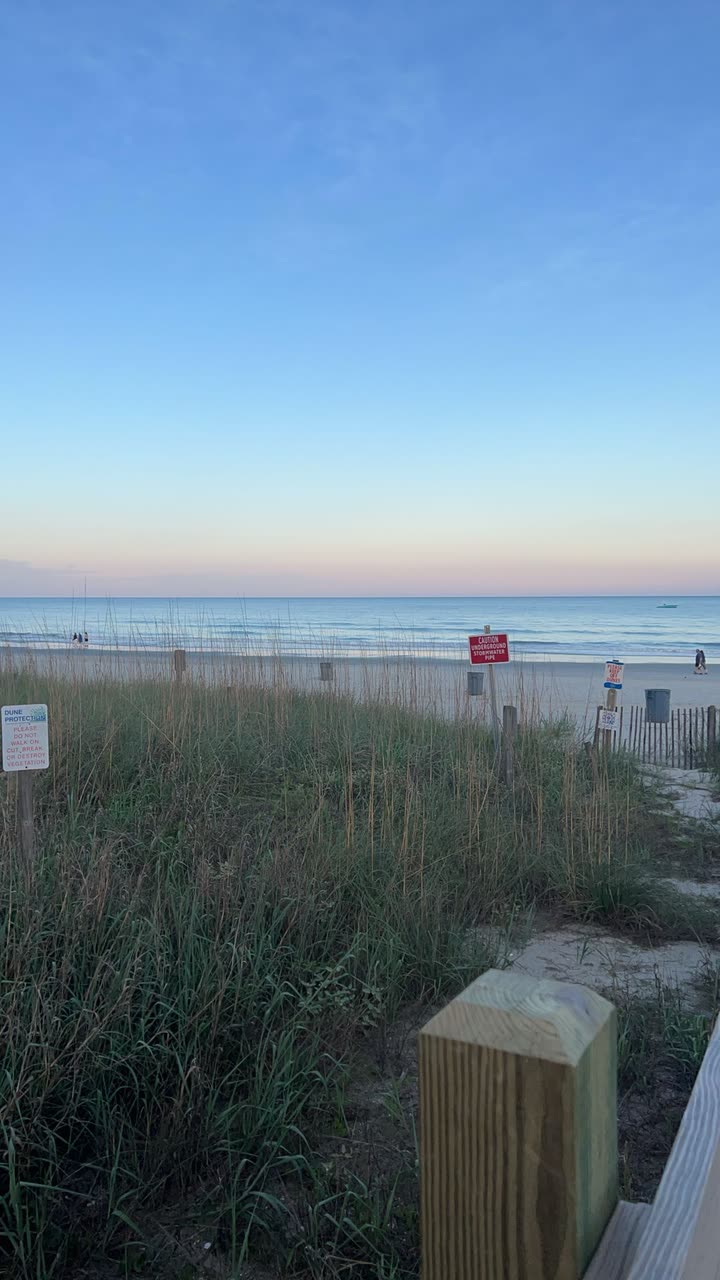 carmmieecat snapchat image archive image