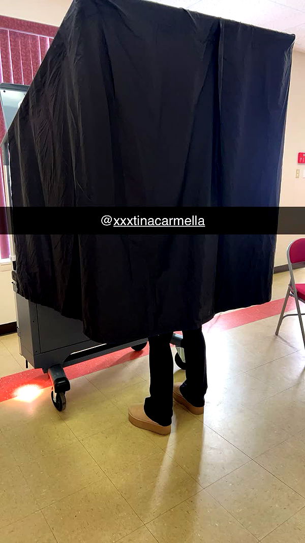 carmmieecat image ~ Altpins