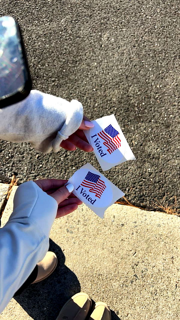 carmmieecat image ~ Altpins