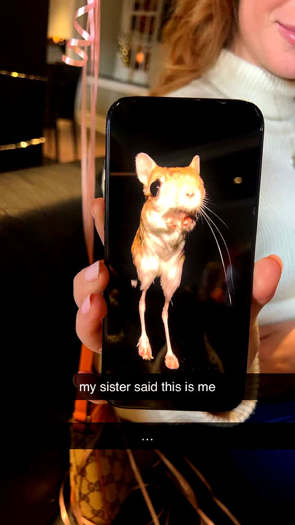 carmmieecat image ~ Altpins