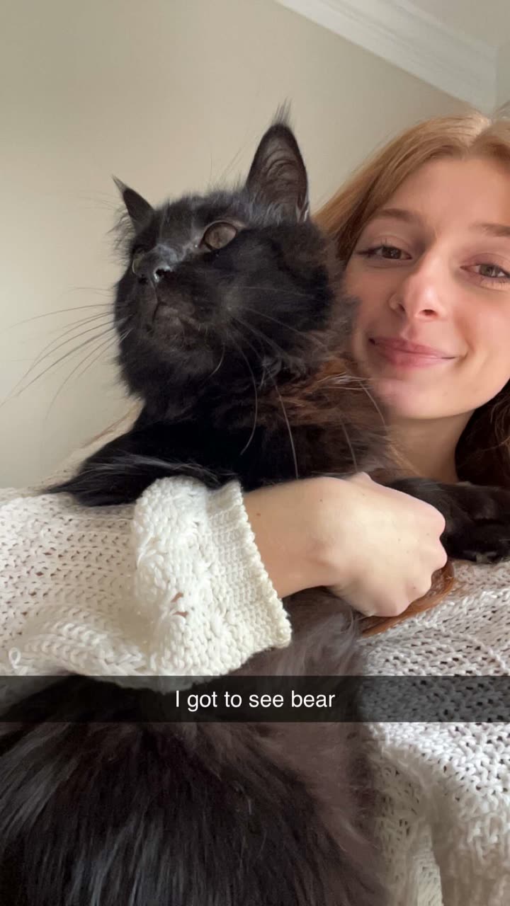 carmmieecat snapchat image archive image