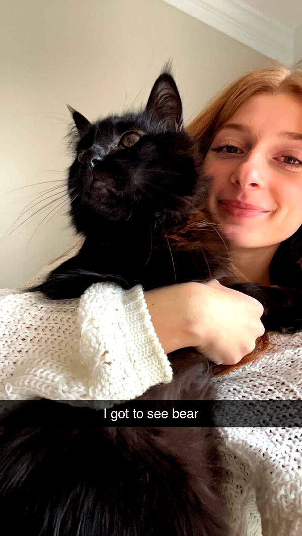 carmmieecat image ~ Altpins