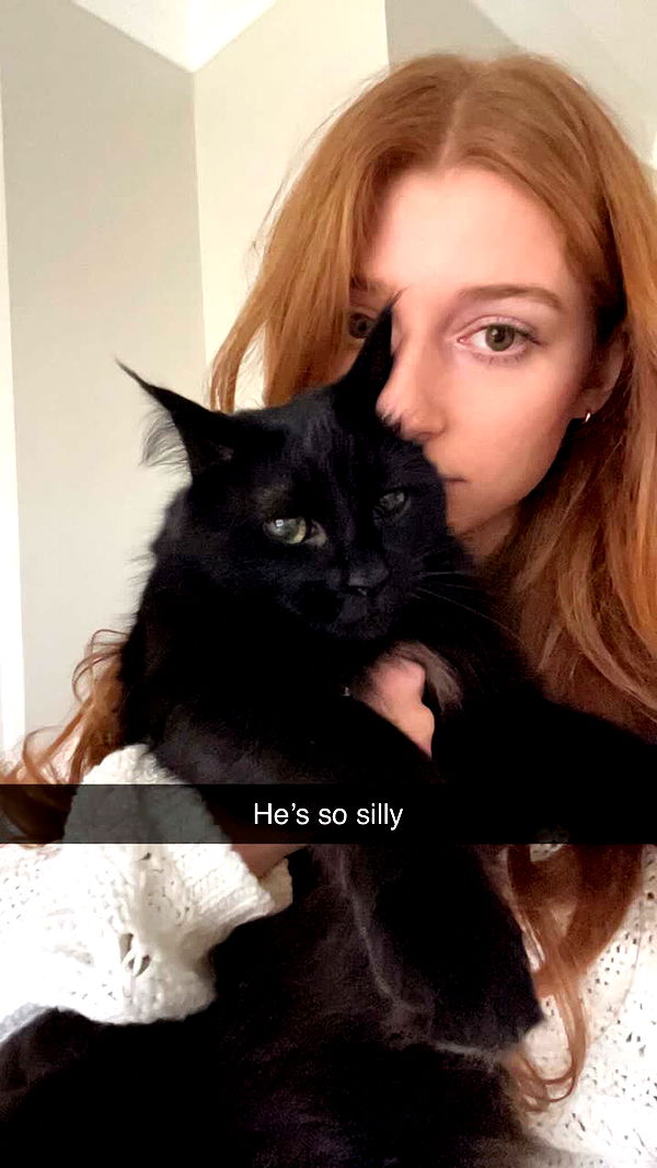 carmmieecat image ~ Altpins