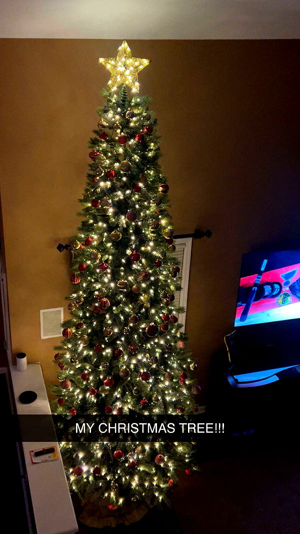 carmmieecat image ~ Altpins