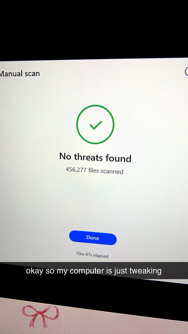 carmmieecat image ~ Altpins