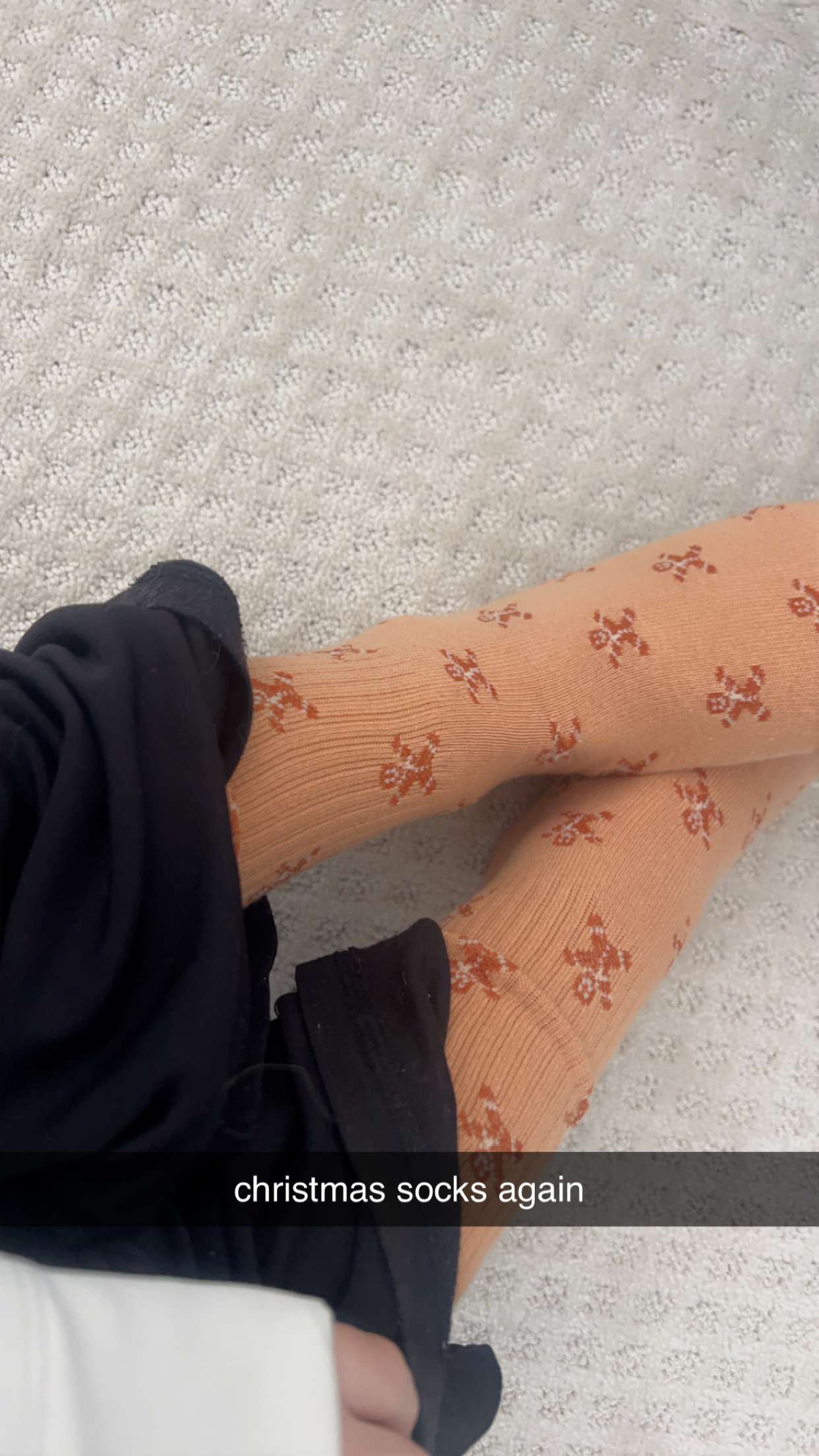 carmmieecat snapchat image archive image