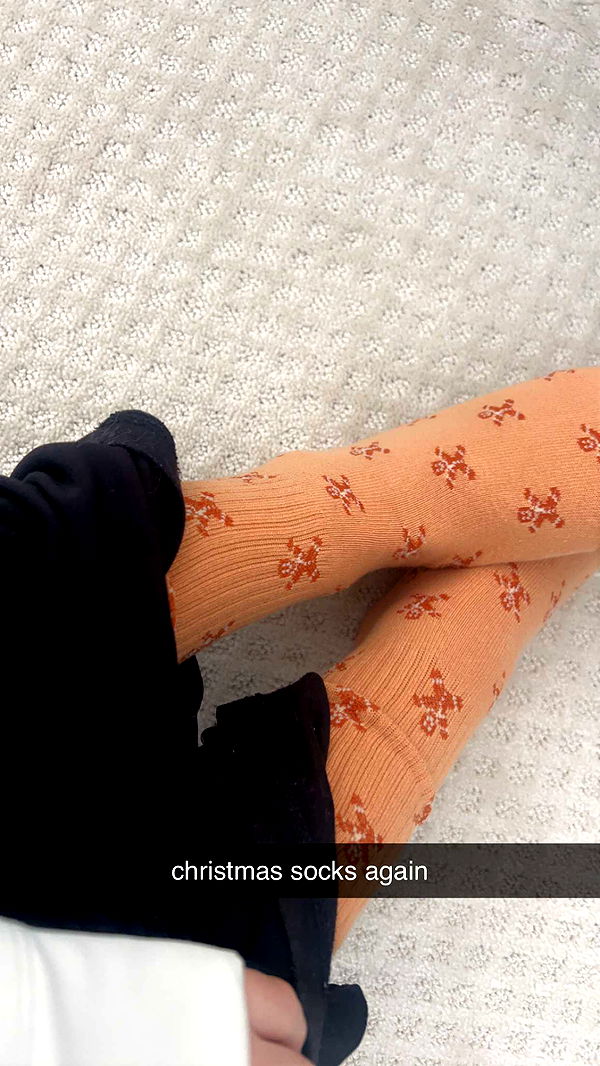 carmmieecat image ~ Altpins