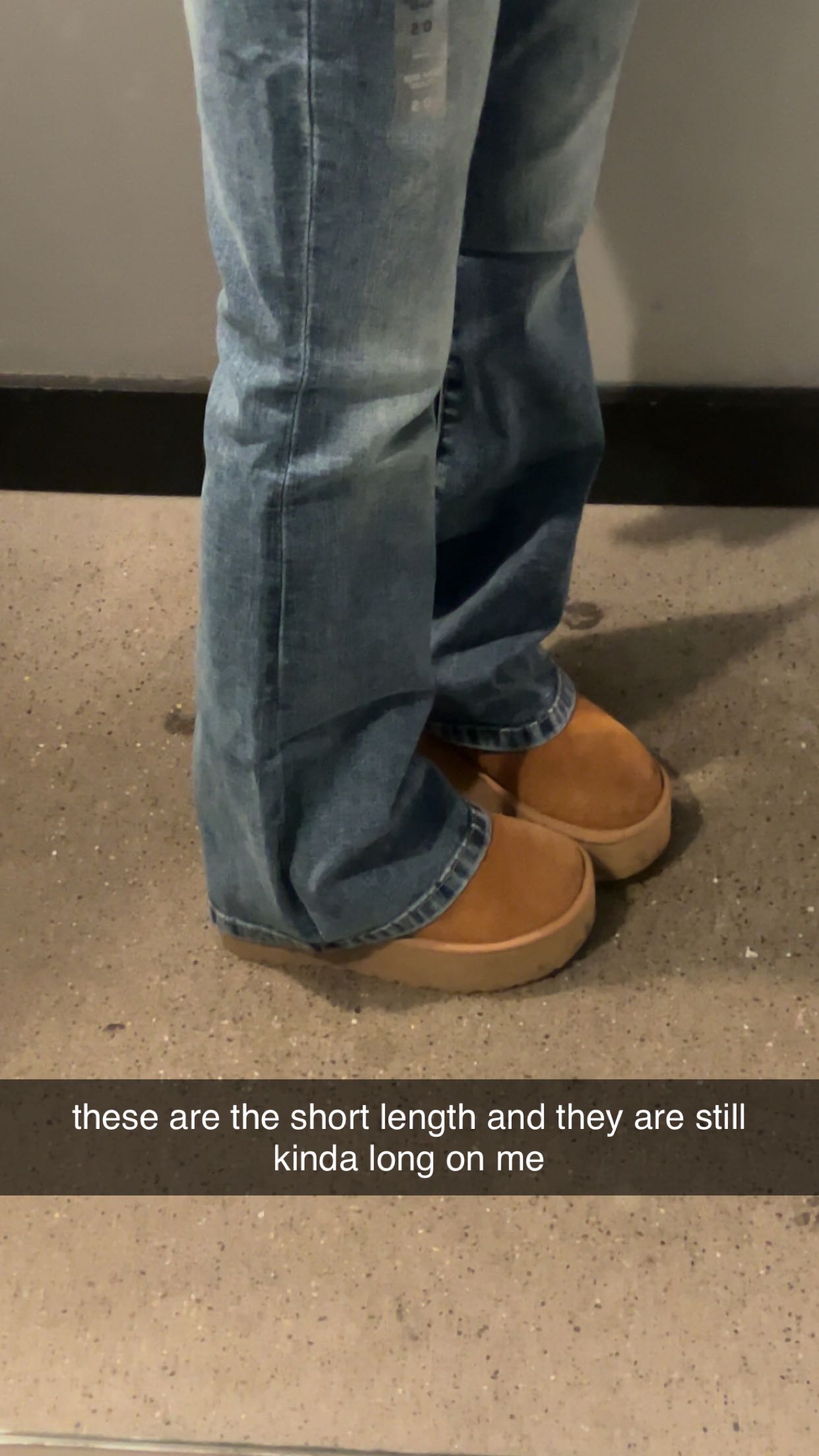 carmmieecat snapchat image archive image