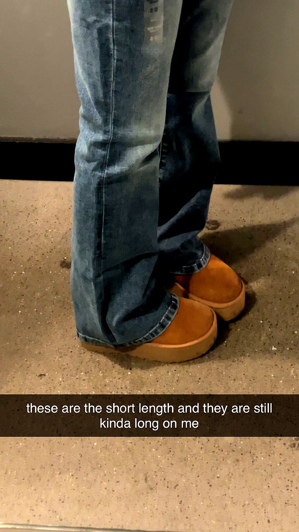 carmmieecat image ~ Altpins