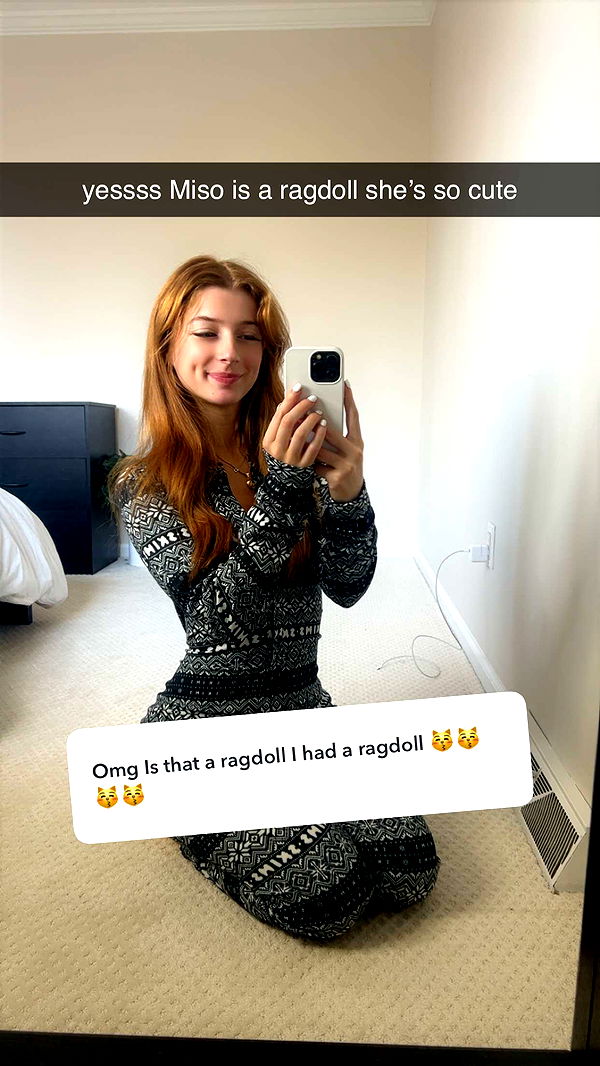 carmmieecat image ~ Altpins