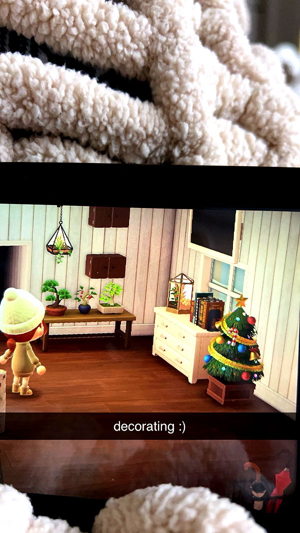 carmmieecat image ~ Altpins